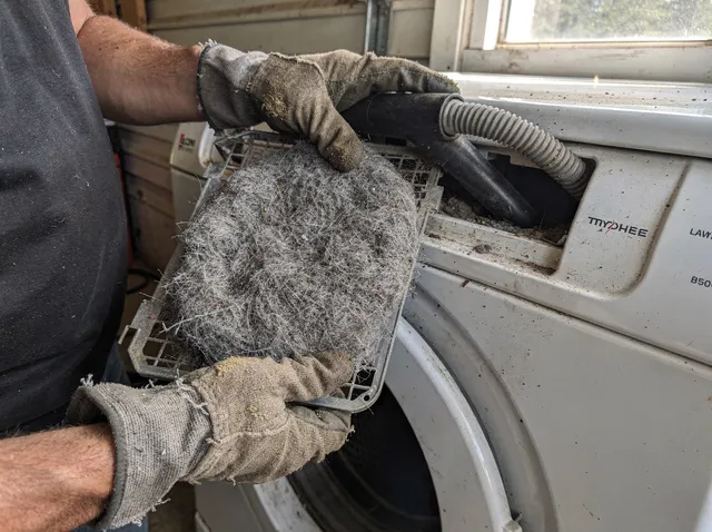 Cleaning Dryer Lint Trap in Canton